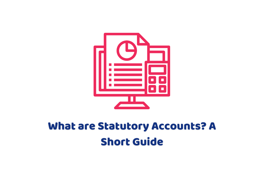What are Statutory Accounts