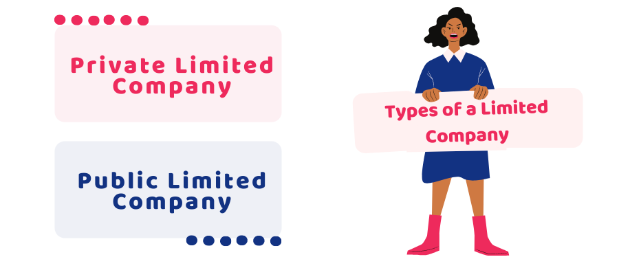 types of a limited company