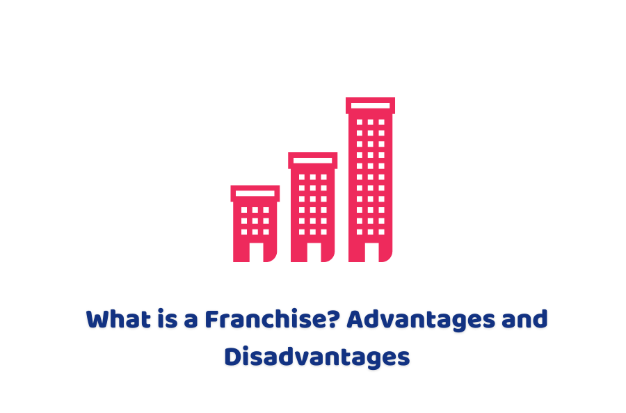 What is a Franchise