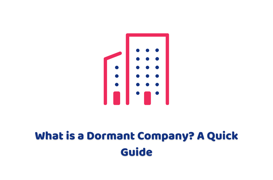What is a dormant company