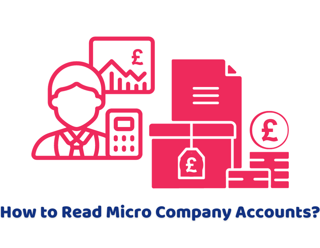 how to read micro company accounts