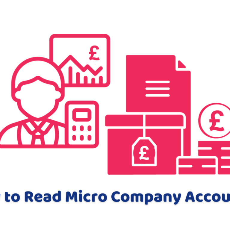 how to read micro company accounts