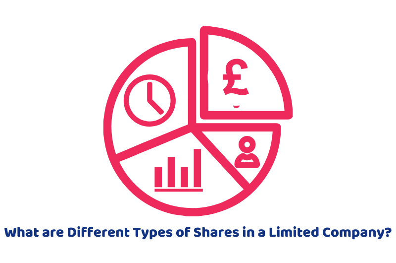 What are Different Types of Shares in a Limited Company?